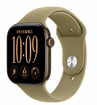 Apple Watch Series 12